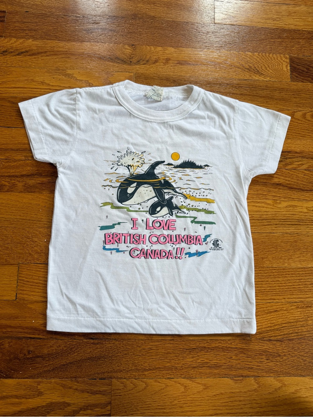Vintage 90s I Love British Columbia Canada T-shirt, Whale Shamu (Kids Youth 6)